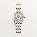 Panthère de Cartier 22mm